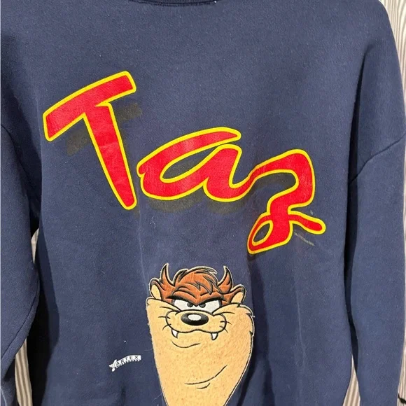 ITEM#66 Warner Bros. Taz Navy Sweater 1993